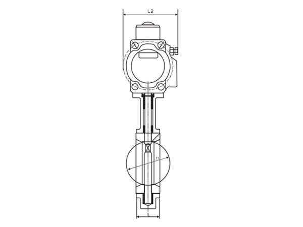 Pneumatic Actuated Butterfly Valve