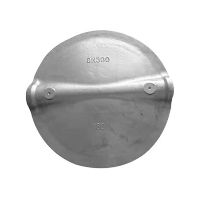 Butterfly Valve Disc